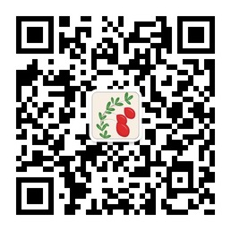 微信QR Code