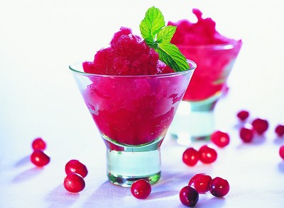 Cranberry Sorbet